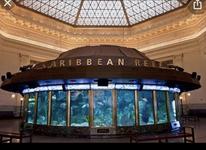 Shedd Aquarium