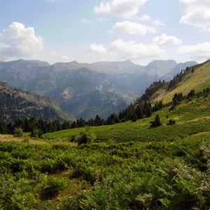 Honeymoon Fund! (Venmo, no fee)