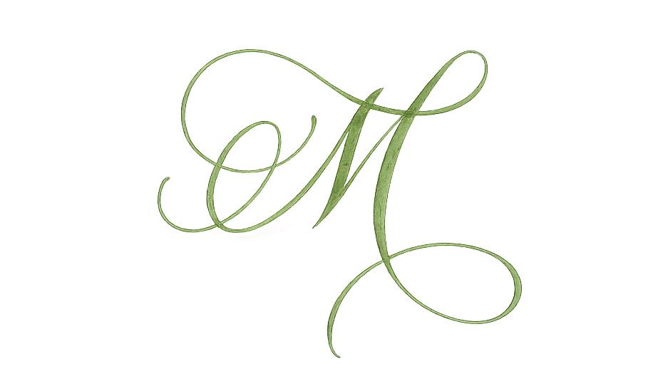 Footer image