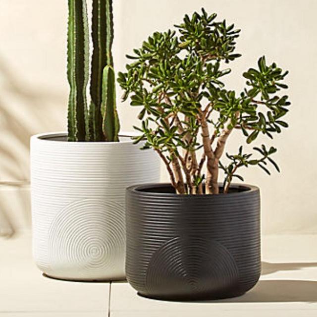 Planters