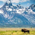 Grand Teton National Park