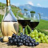 Wine Tasting in Tuscany