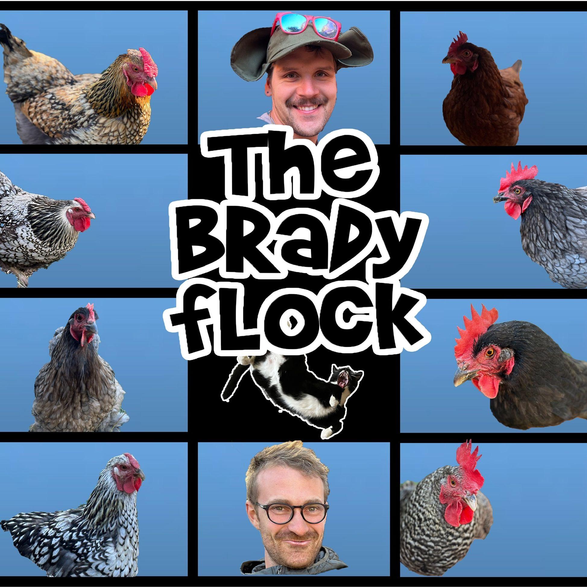 Did you know that 3 months after we met, we merged our flocks? Sadly they are mostly dead now. Rest in peace to Ruby, Sapphire, Hobbes, Iris, Nellie, Srta Fluffypants and Louise. Long live Fluffy Butt