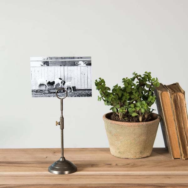 Telescoping Photo Stand