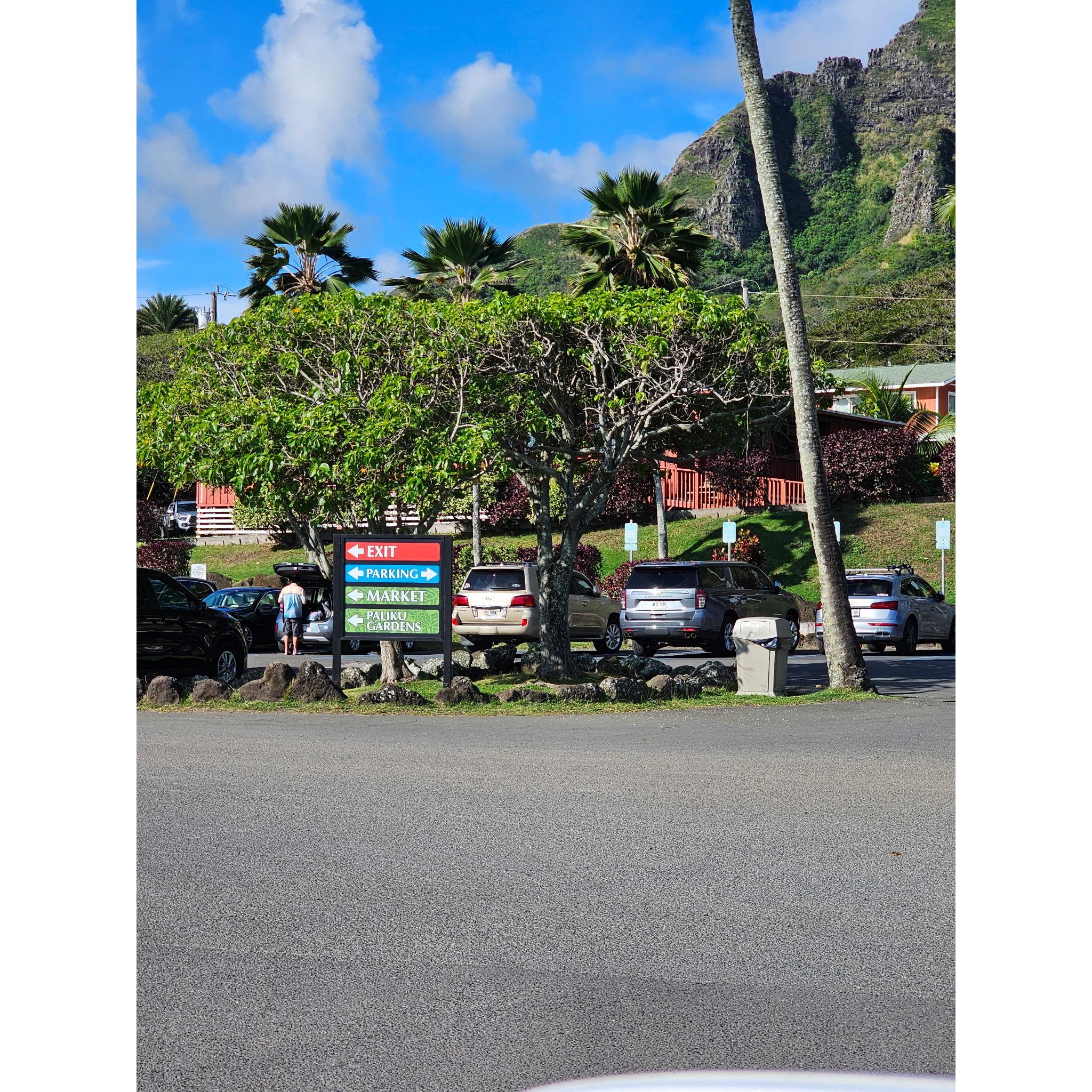 After entering from Kualoa Ranch Main Entrance. Follow "Paliku Gardens"