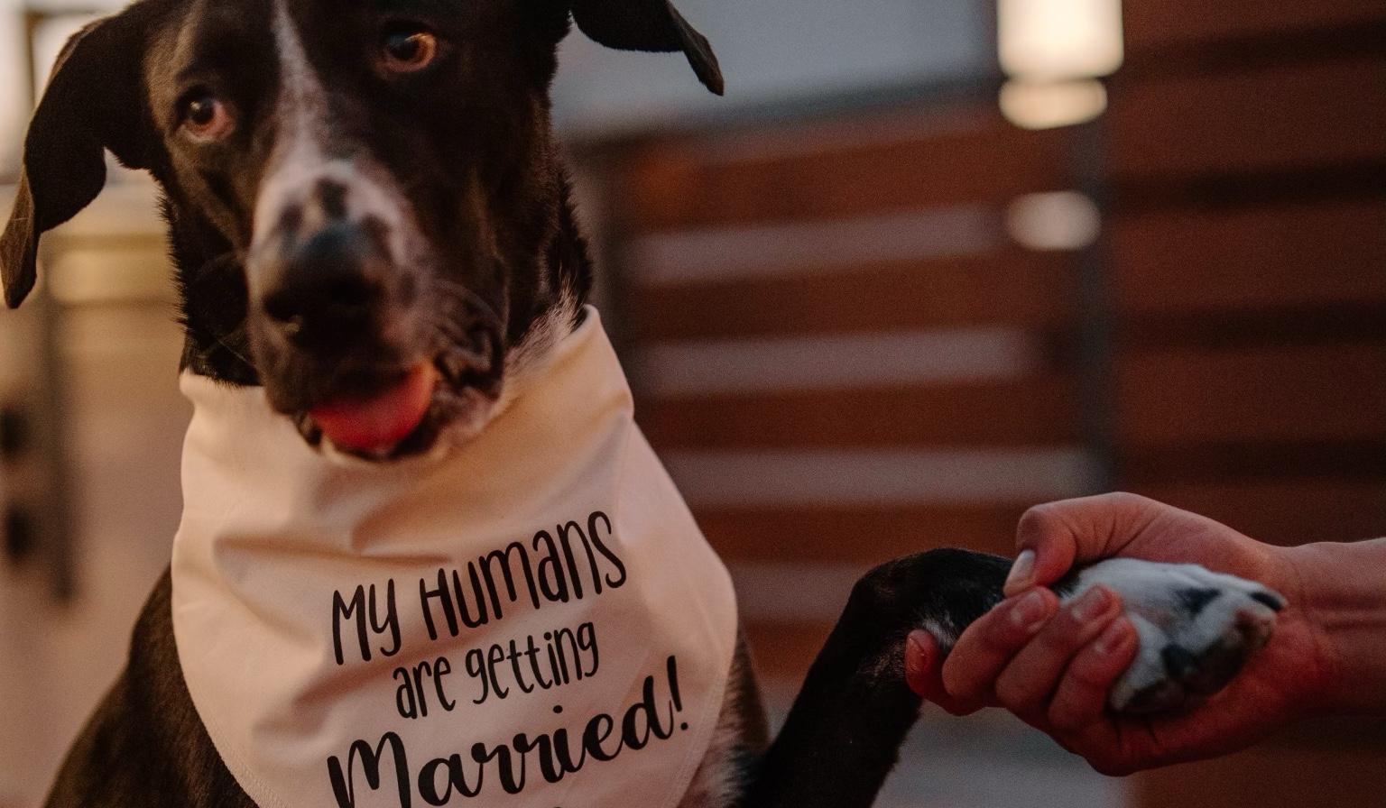 The Wedding Website of Caroline Alford and Salomon Wright