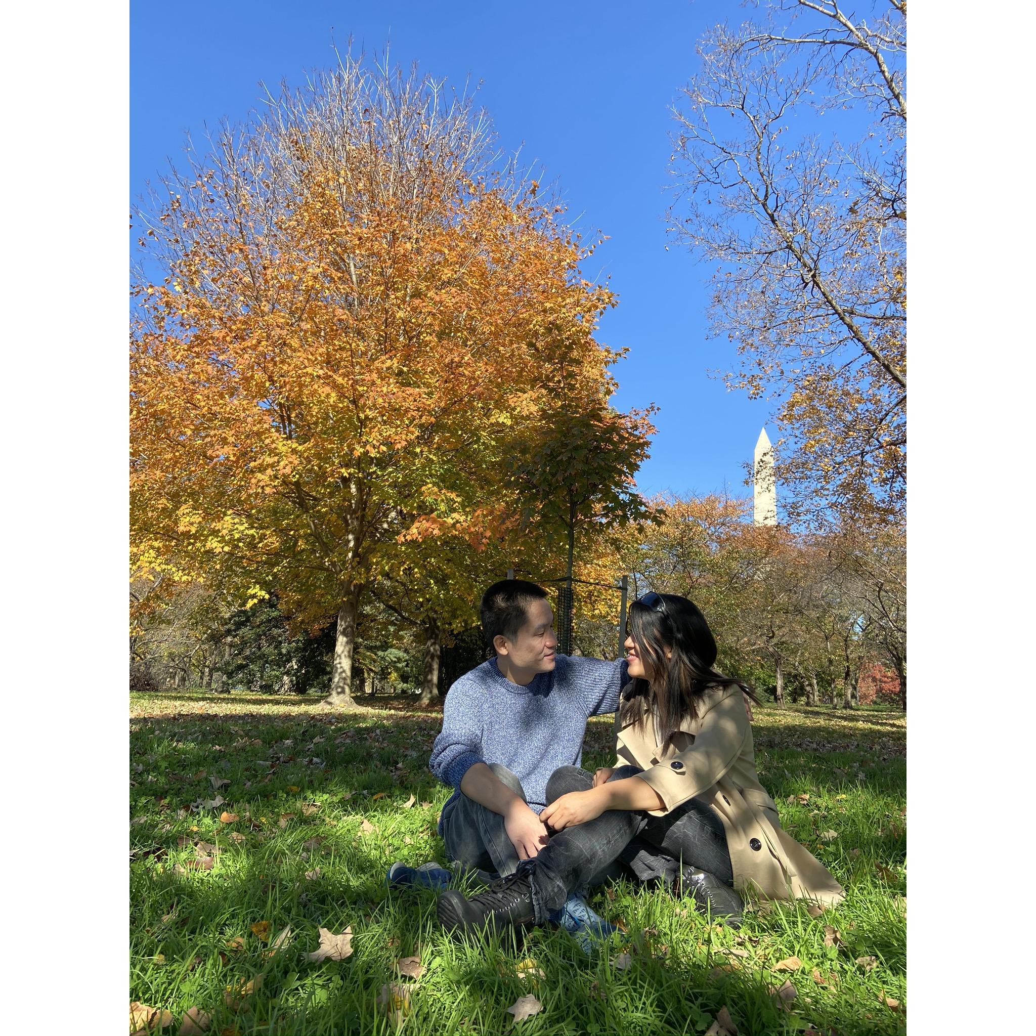 DC foliage