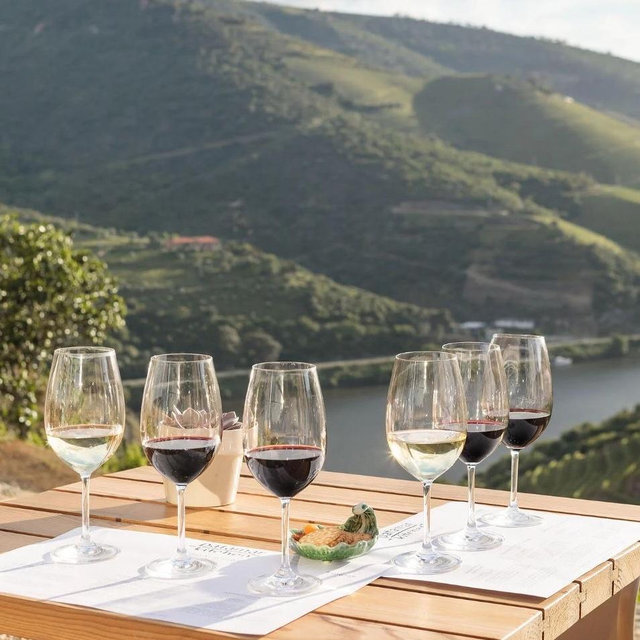 Wine Tasting in Florence