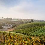 Fallbrook Winery