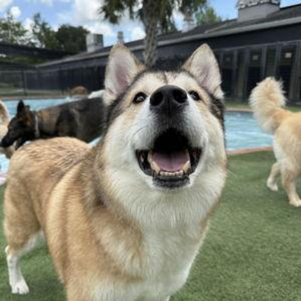 Gus's Paradise Vacation Stay