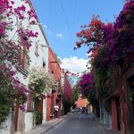 Callejón del Pueblito