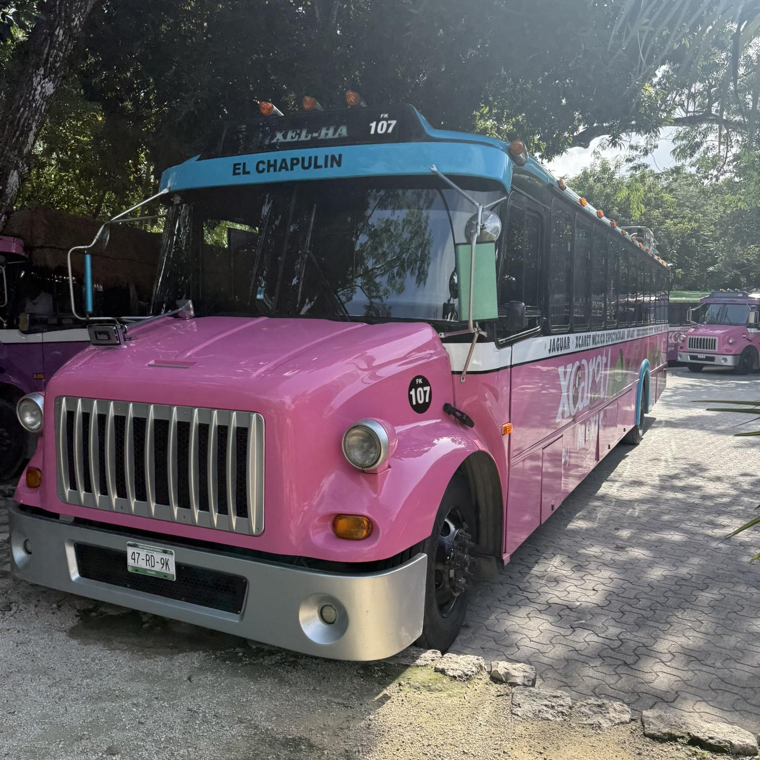 This is the shuttle that will take you back n forth between the hotel, and Xcaret park, Xplor and Xenses. They have a couple different buses, but you get the idea.