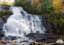 Dupont State Forest