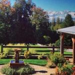 Woodinville Wine Country