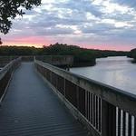 Weedon Island Preserve