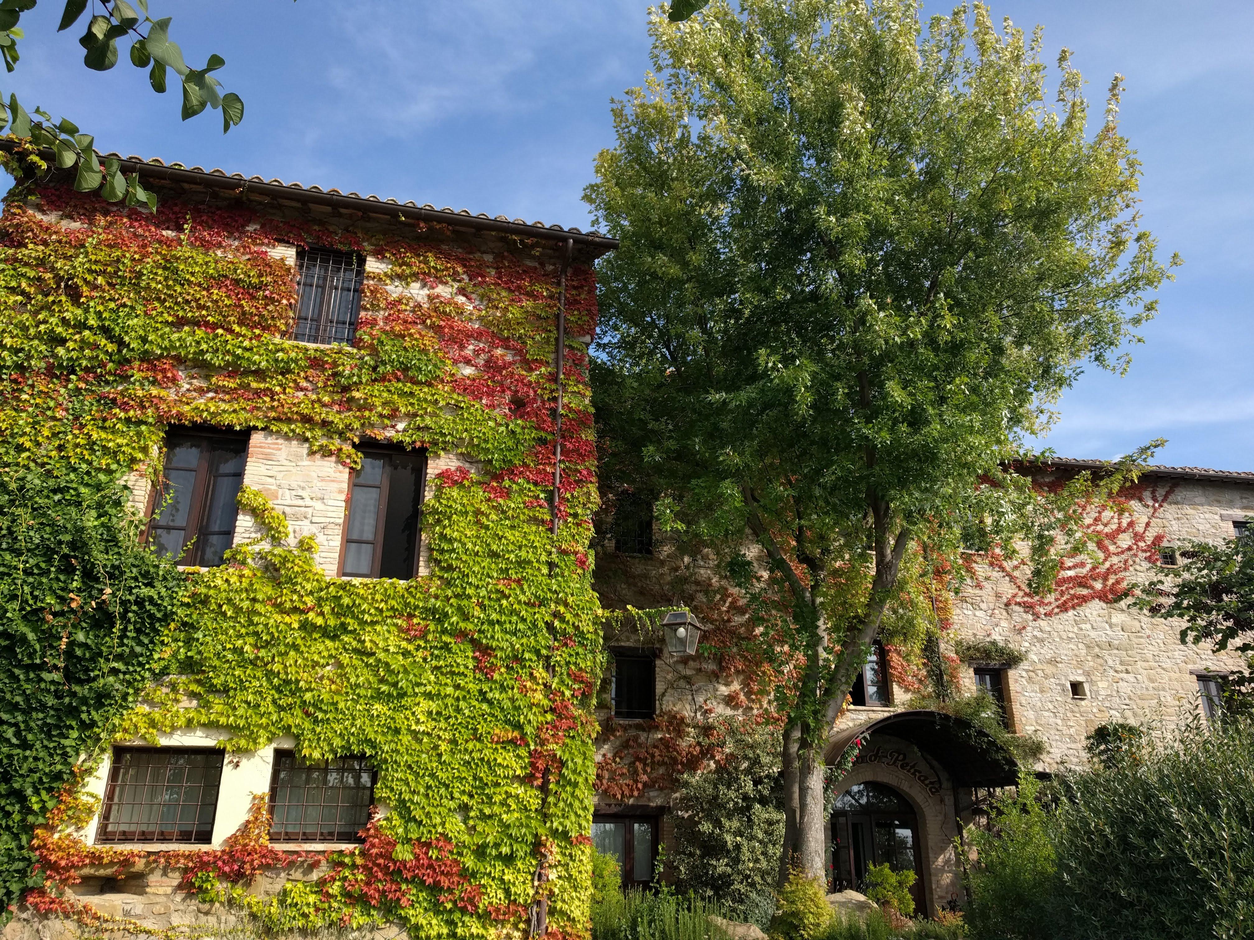 The Wedding Website of Sarah Fuller and Damiano Cuppone