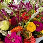 Chattanooga Market