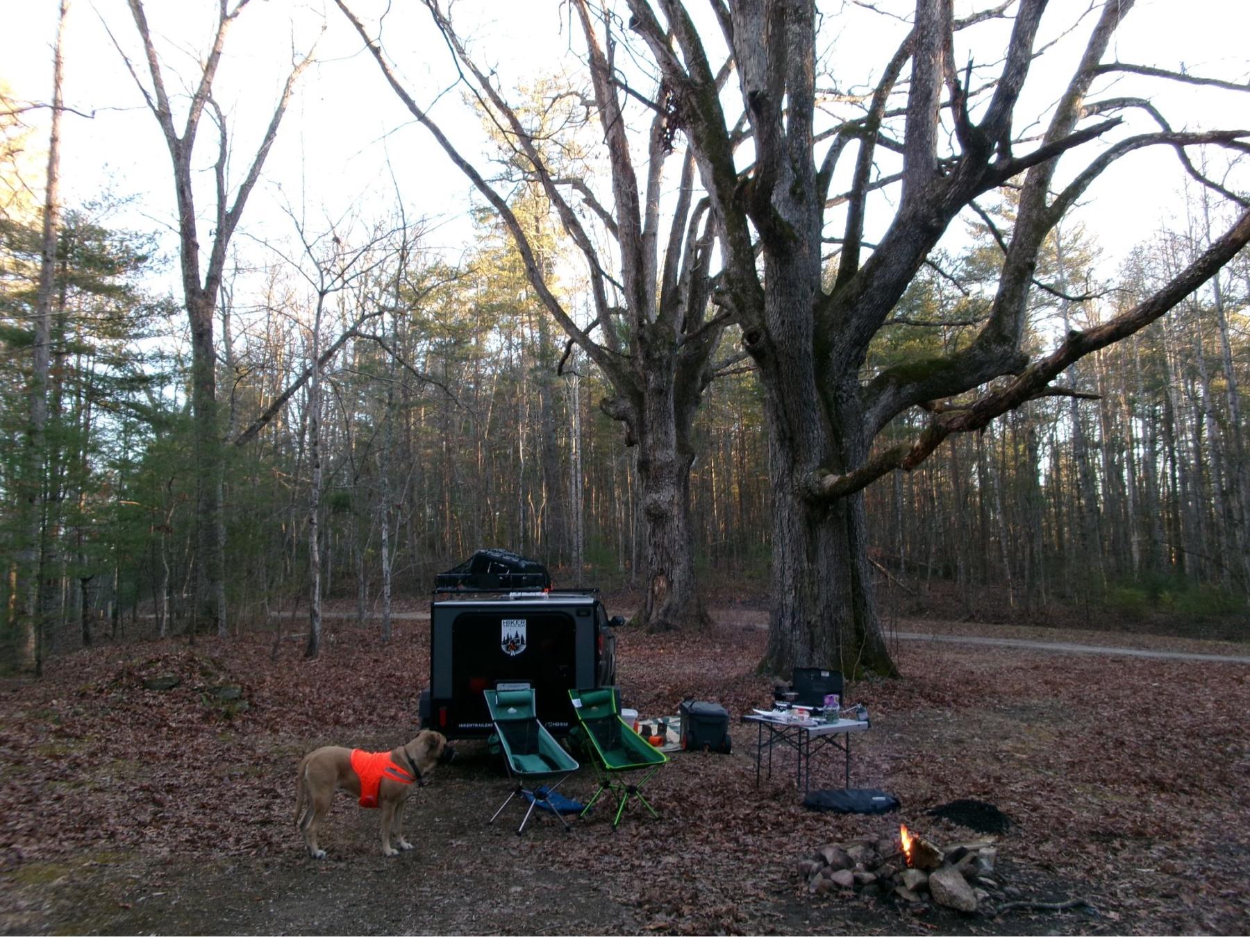 60040f00-cfee-4502-9e84-d55b5b24e819