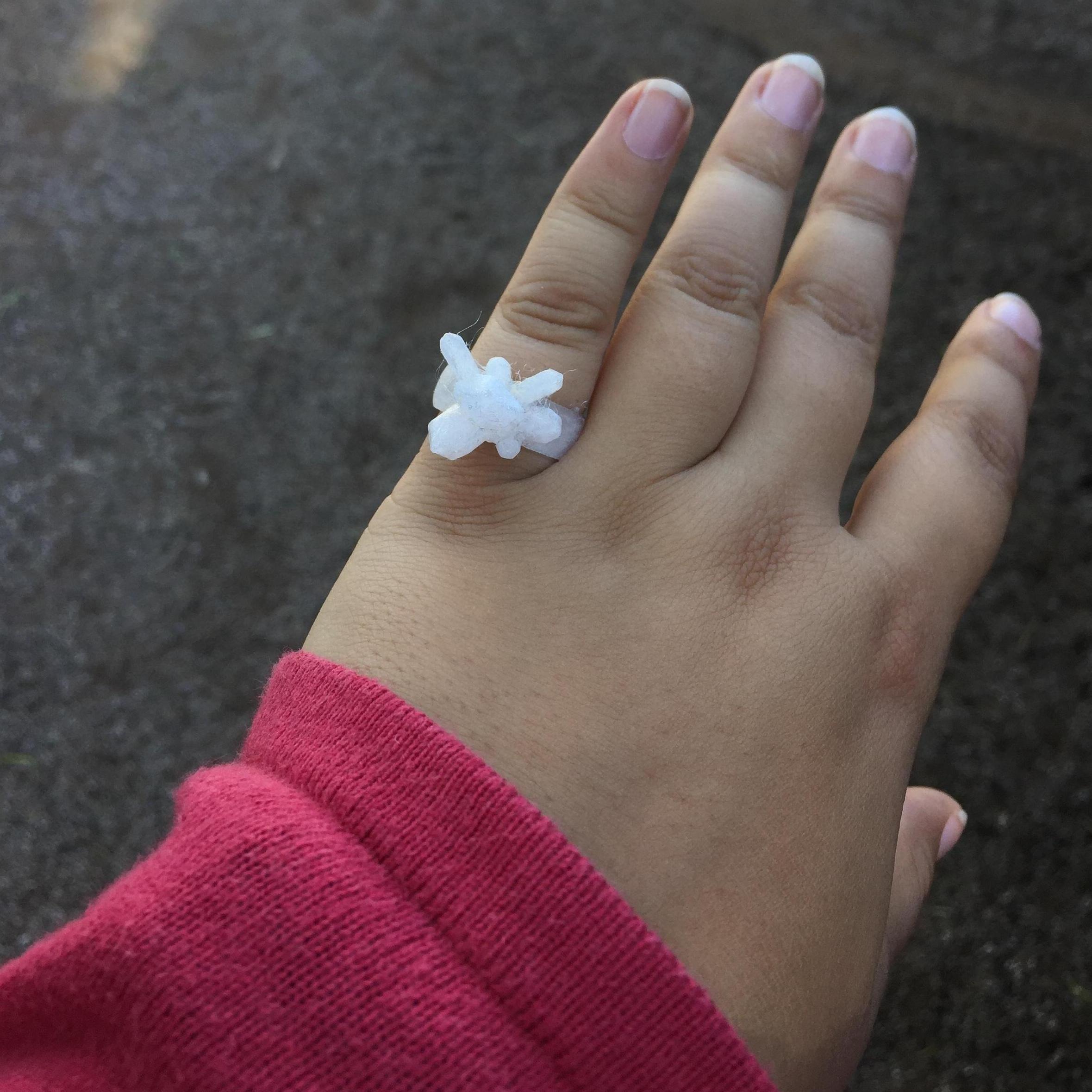 1/5 of the rings Skyler gave to Morgan on the day they got engaged. Skyler planned an intricate engagement, spanning all the places they visited together on the week they got together back in 2015.