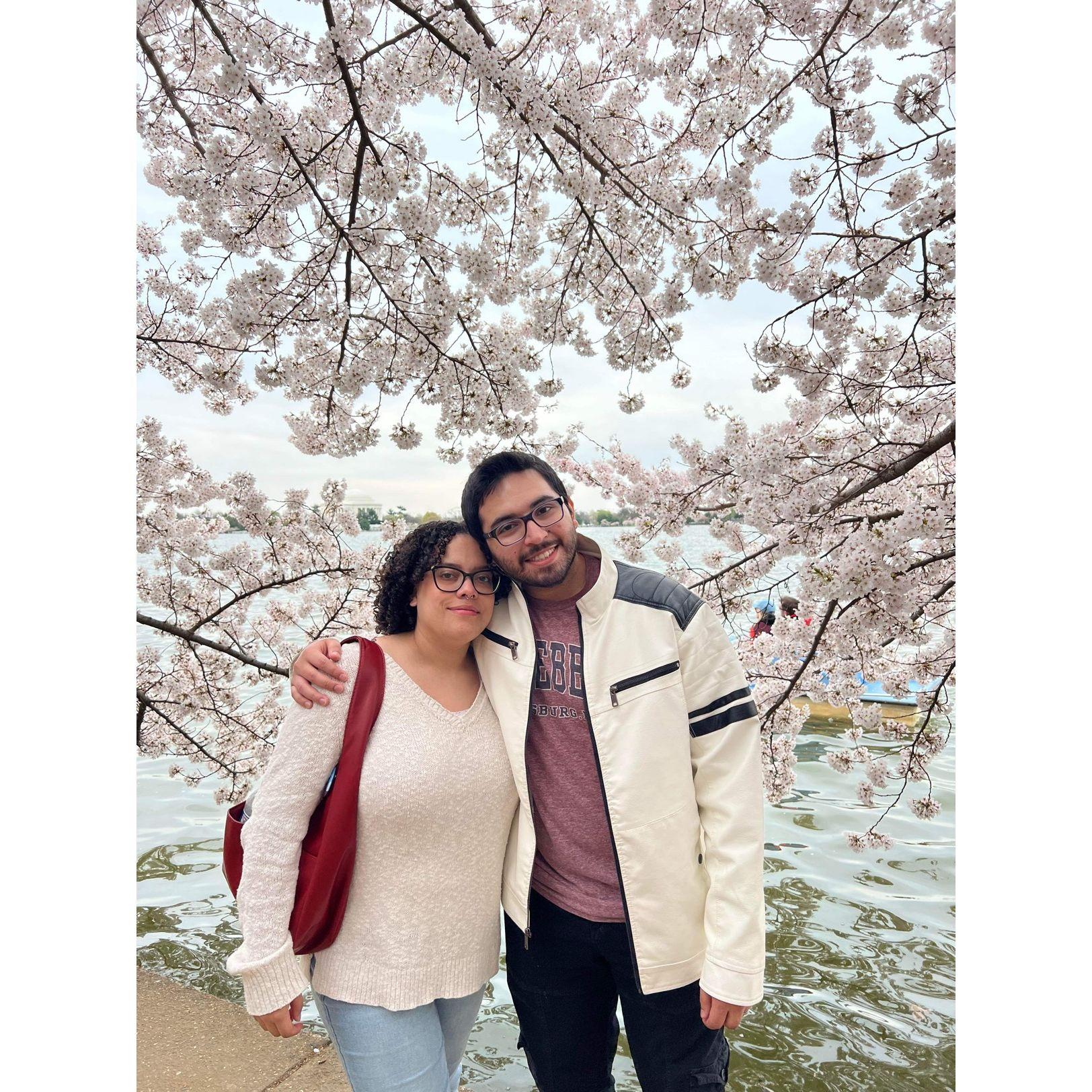 Attending the DC Cherry Blossom Festival in 2024.