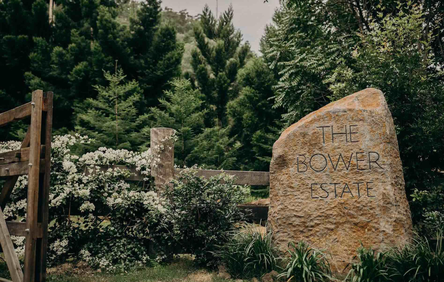 The Wedding Website of Morgan Wairoa and Calum Hall