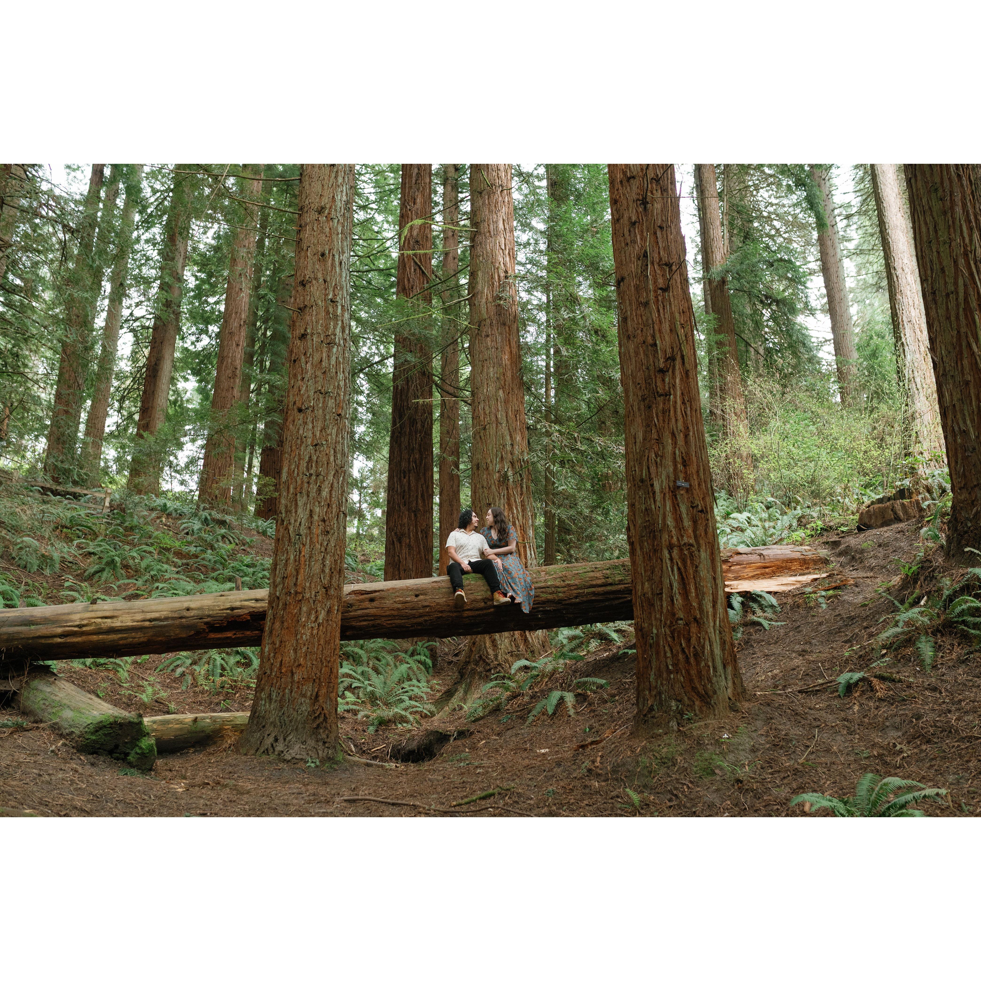 Engagement Photos by Andreia Claro