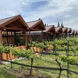 Marchesi Vineyards & Winery