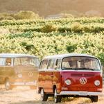 Winery Hop in a Vintage VW around Sonoma