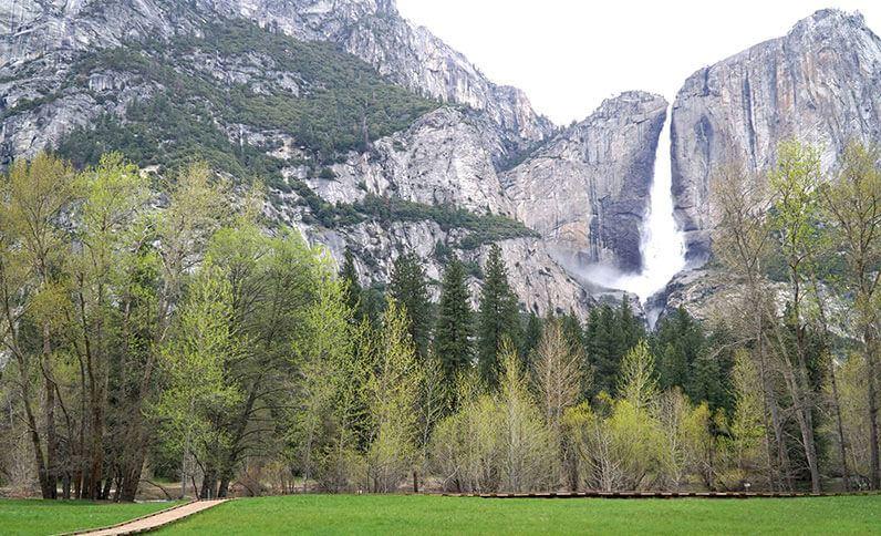 The Wedding Website of Sarah Vargo and Staci Winters