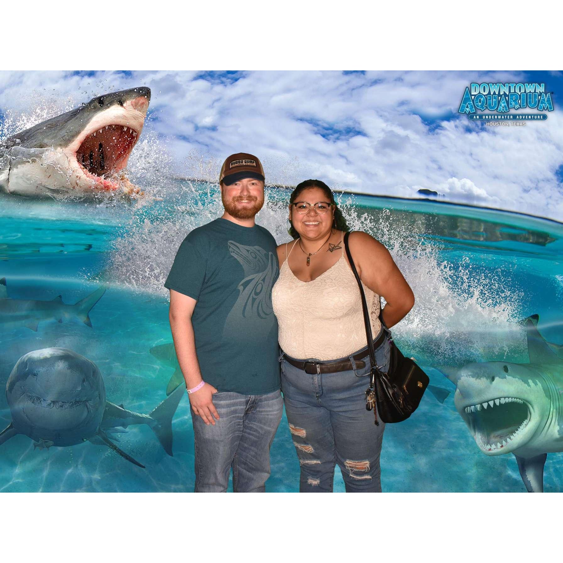 Our third date at the Houston Aquarium where I got to touch all the animals!