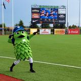 Hillsboro Ballpark