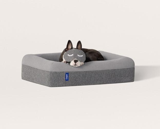 Memory Foam Dog Bed - Gray, Medium