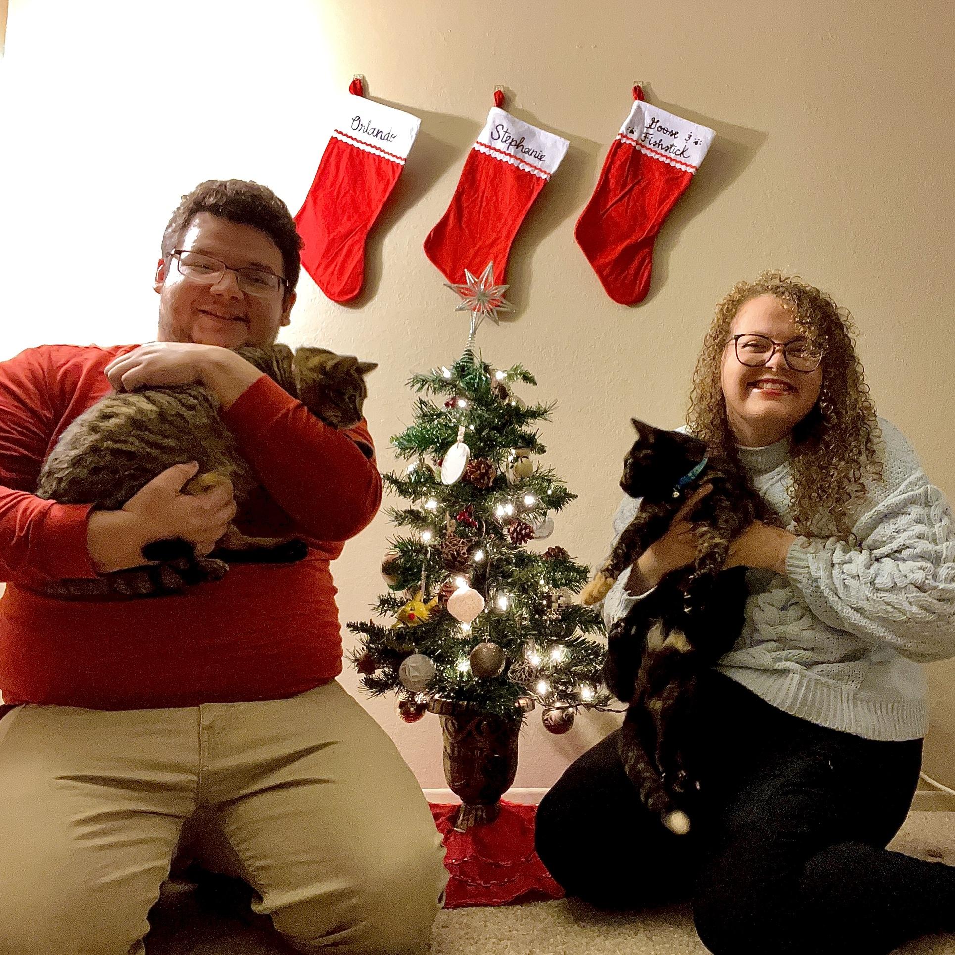 First Christmas living together
