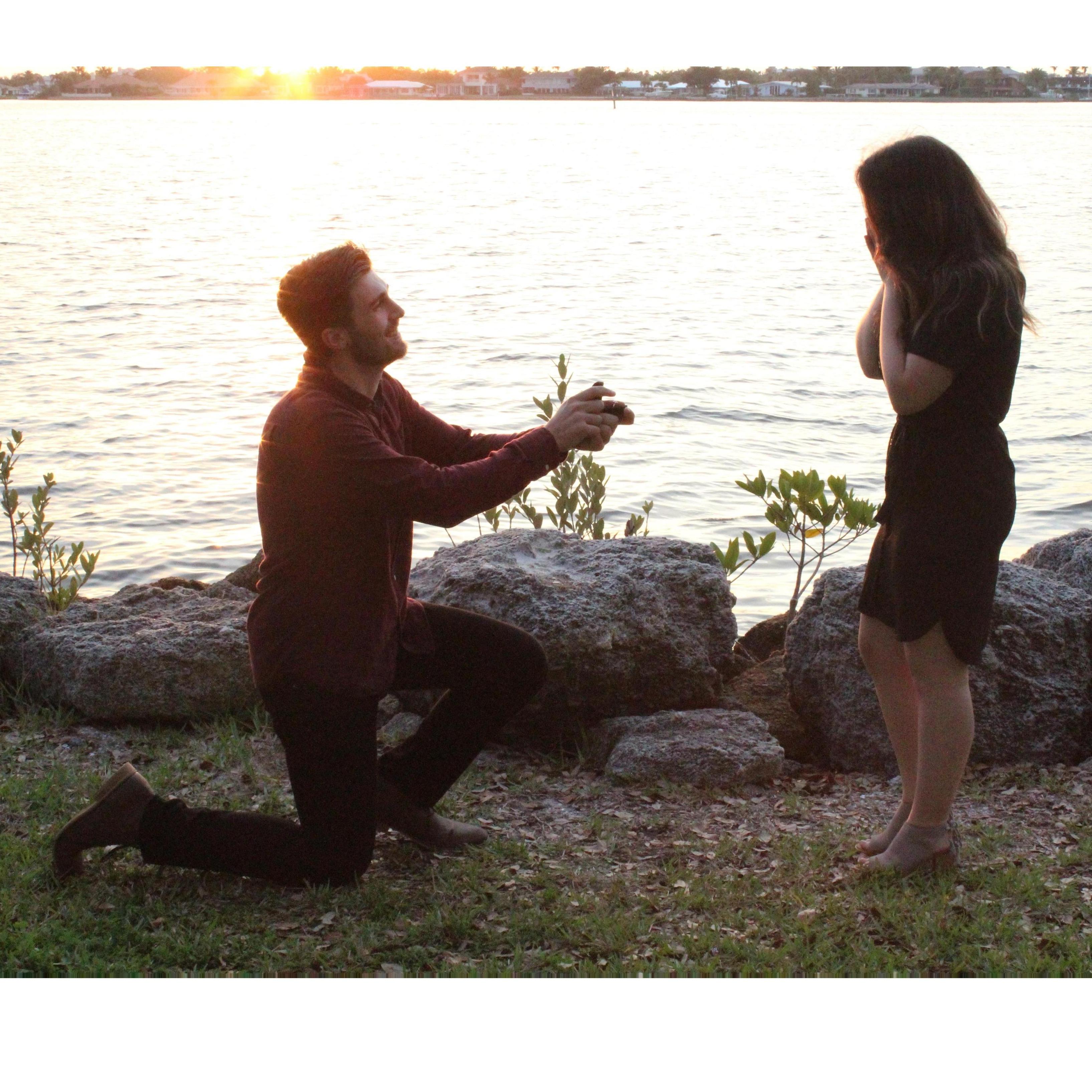 THE PROPOSAL! (February 16th, 2019).