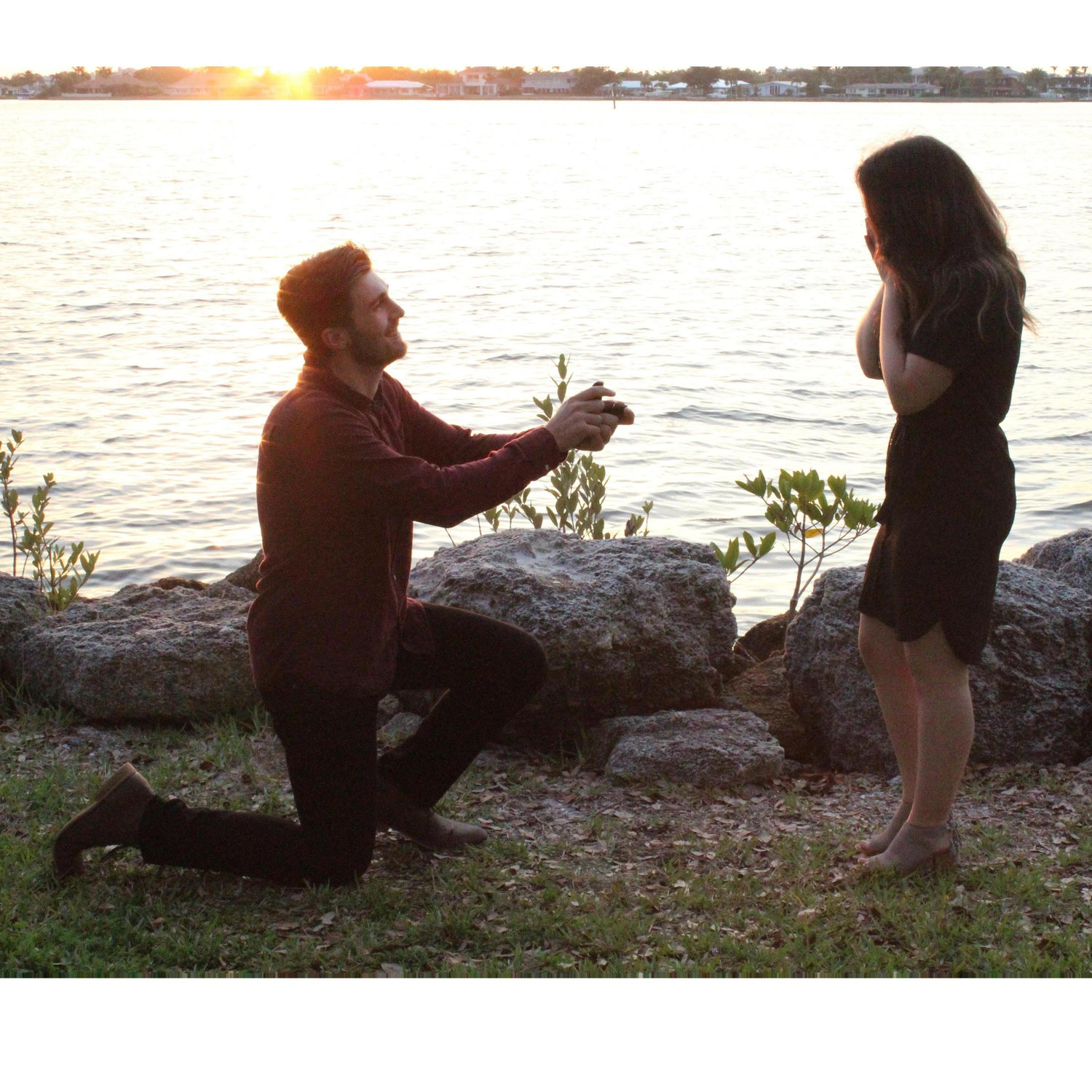 THE PROPOSAL! (February 16th, 2019).