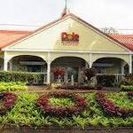 Dole Plantation