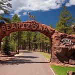 Bearizona Wildlife Park