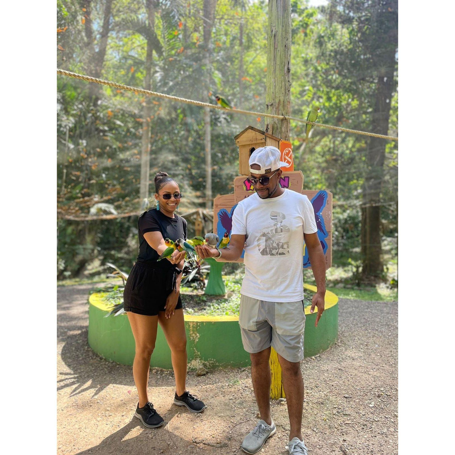 "Love takes flight—just like these little feathered friends! 🕊️💖 #WingedAdventures #LoveIsForTheBirds"