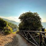 Hiking Adventure in Agropoli: Explore the Punta Tresino Trail