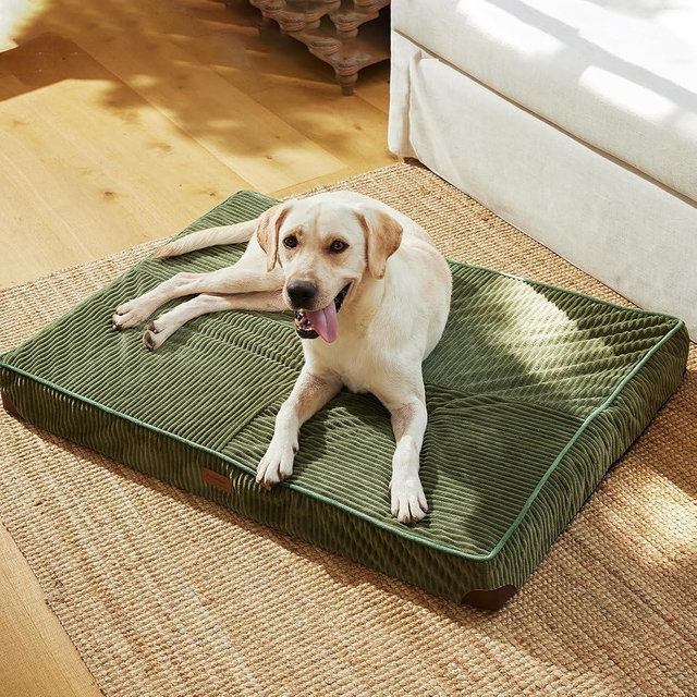 FUKUMARU Dog Bed, Plush Corduroy Orthopedic Dog Beds with Removable Washable Cover, XL Waterproof Dogs Bed for Crate, Egg Crate Foam Support Pet Mat, Cozy Pet Bed Mat with Anti-Slip Bottom, Green