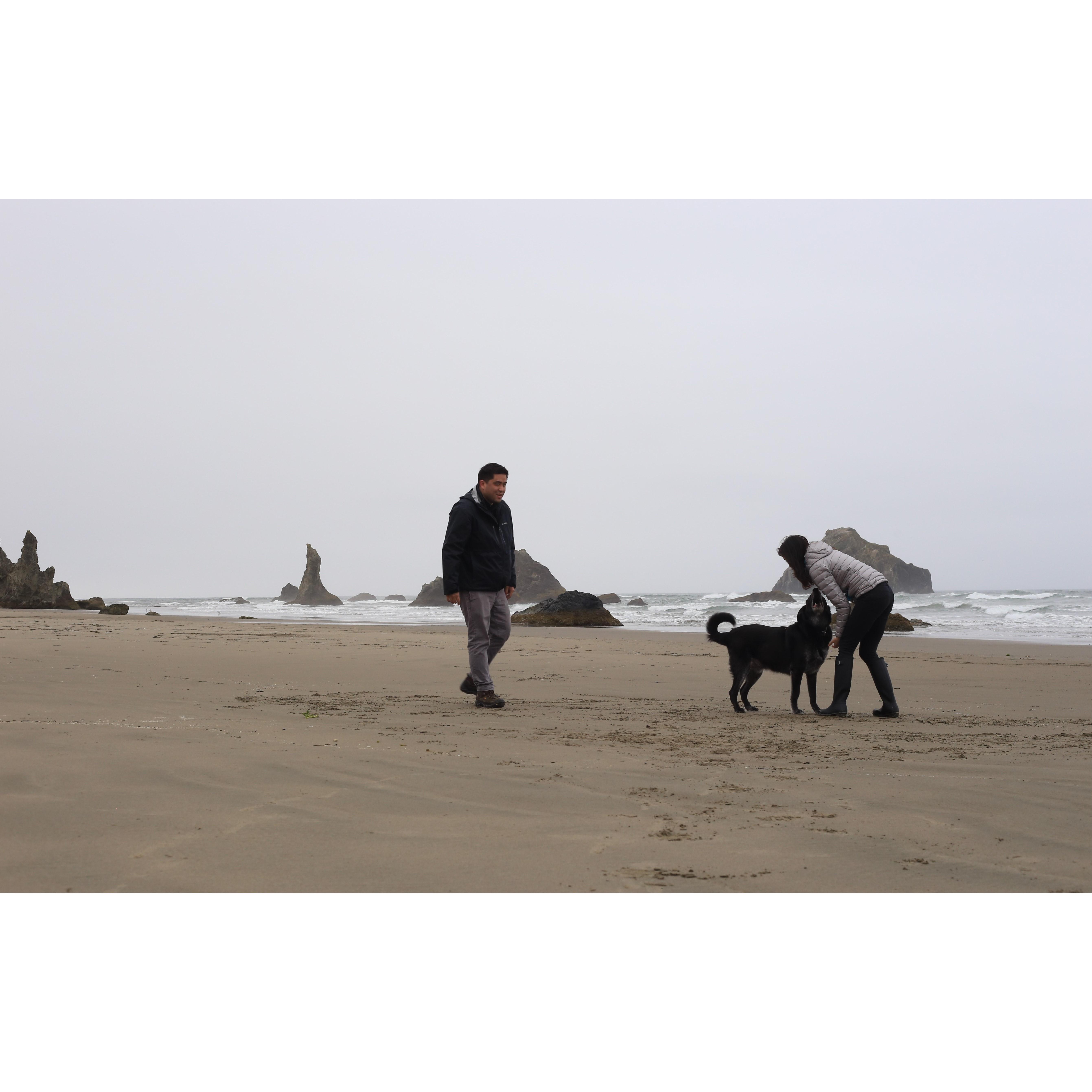 Oregon road trip with Stewie