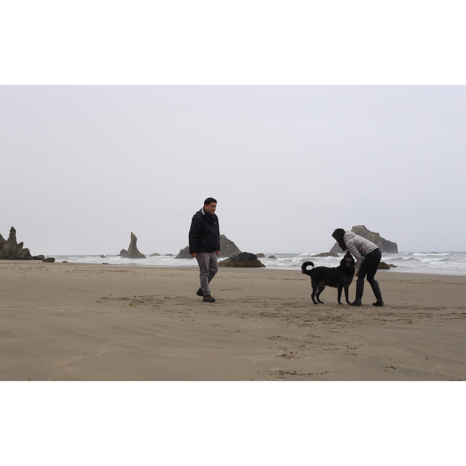 Oregon road trip with Stewie