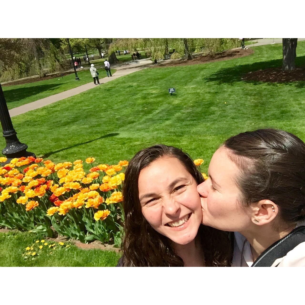 Boston Public Gardens