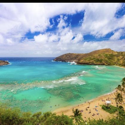 Oahu Grand Circle Island Day Tour