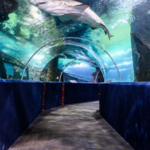 Greater Cleveland Aquarium