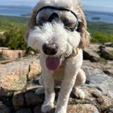 Acadia National Park