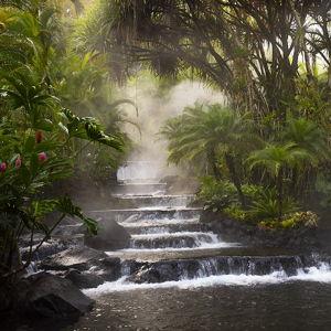 Costa Rican Honeymoon