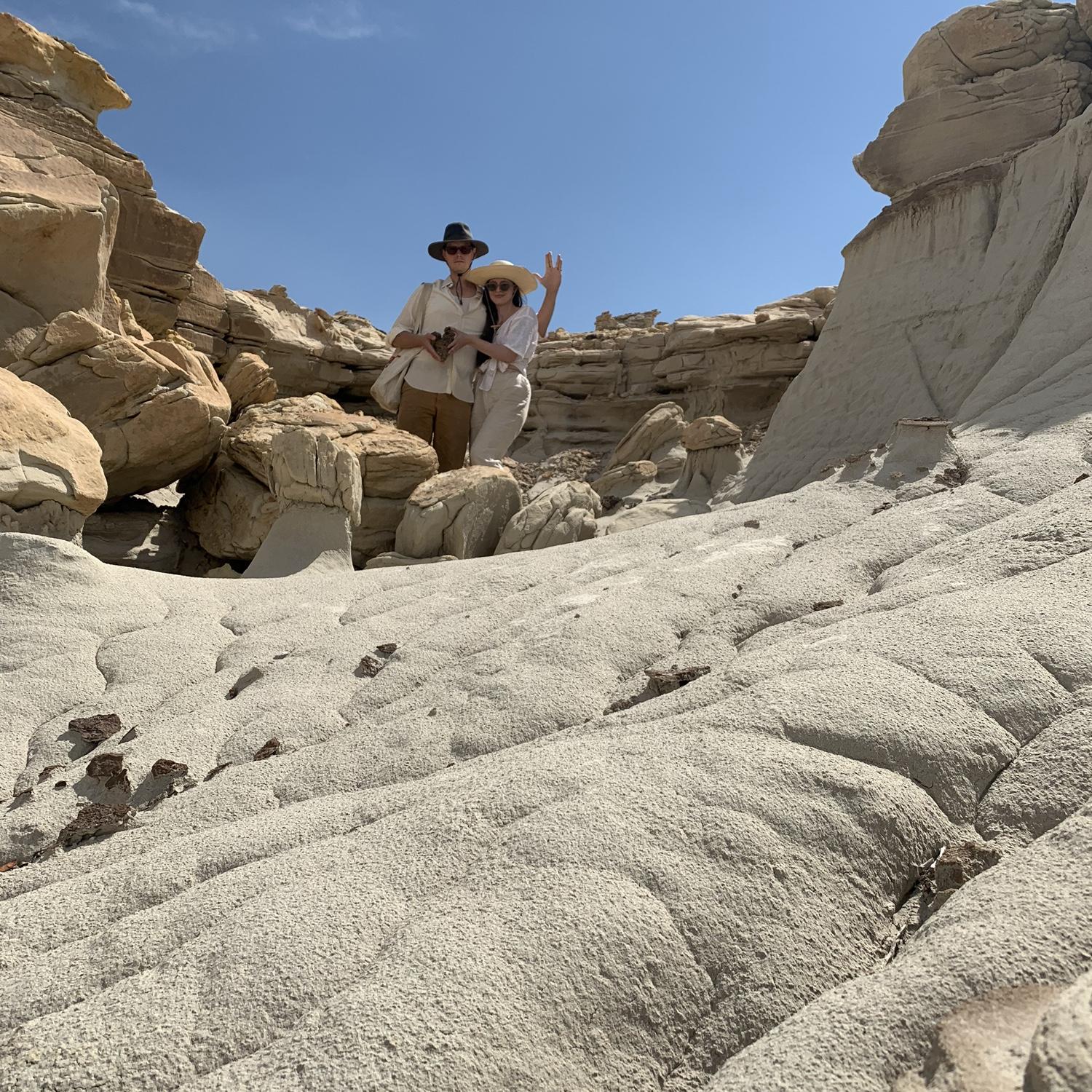 At Bisti badlands in New Mexico
