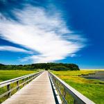 Cape Cod National Seashore