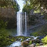 Tamanawas Falls Trailhead